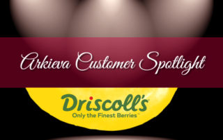 driscolls food and beverage supply chain planning software client